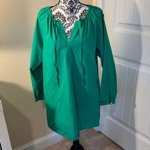 Banana Republic Green Long Sleeve Mini Dress